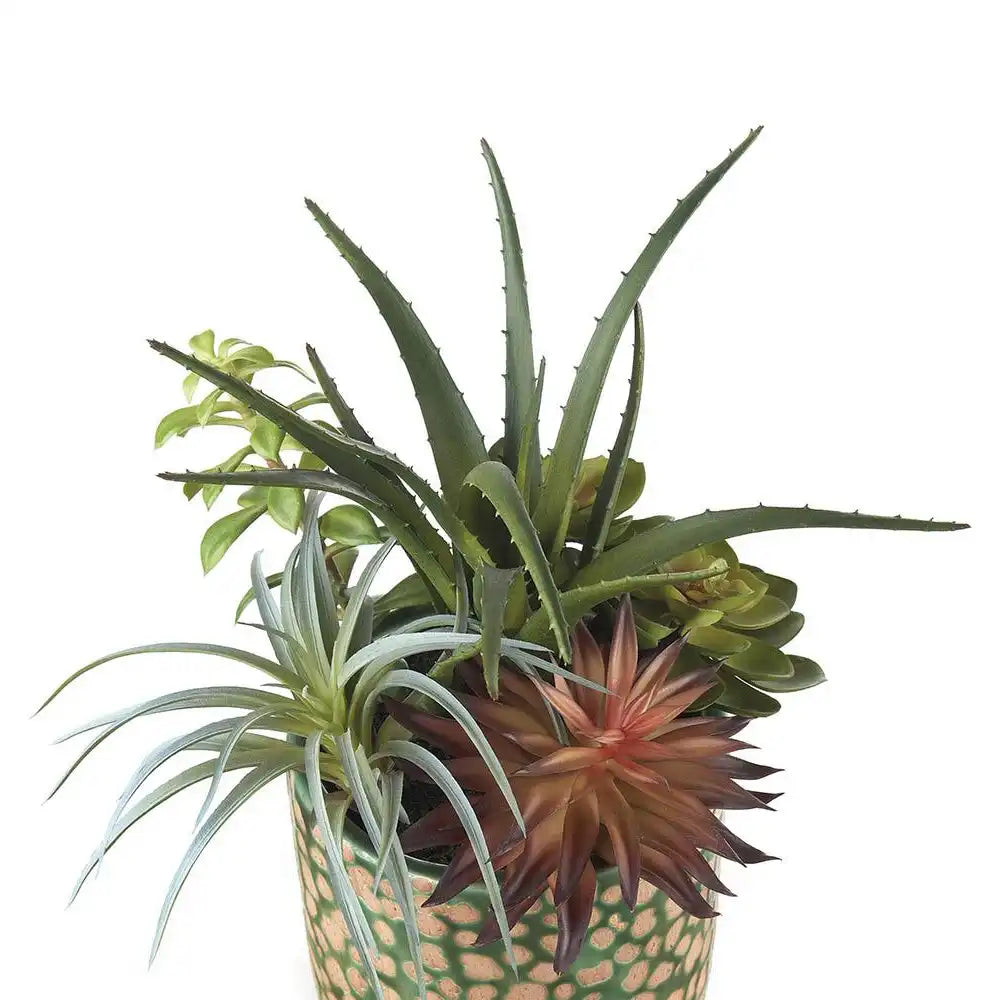 Set 2 Vasi Ceramica Verde Piante Grasse Ethno Chic | L'Oca Nera