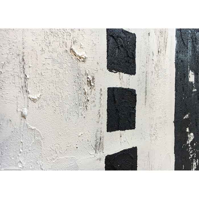 Agave Quadro con Cornice Geometrie di Nero