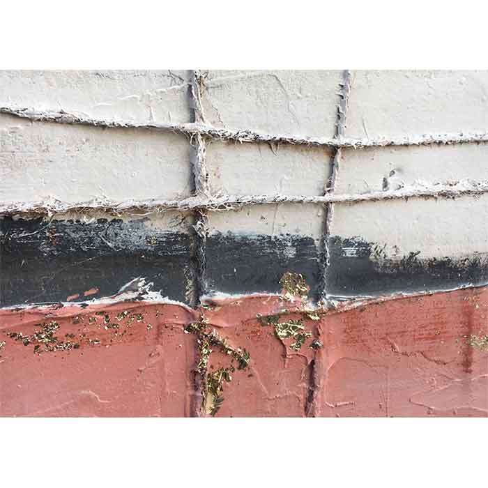 Agave Quadro Desert Waves