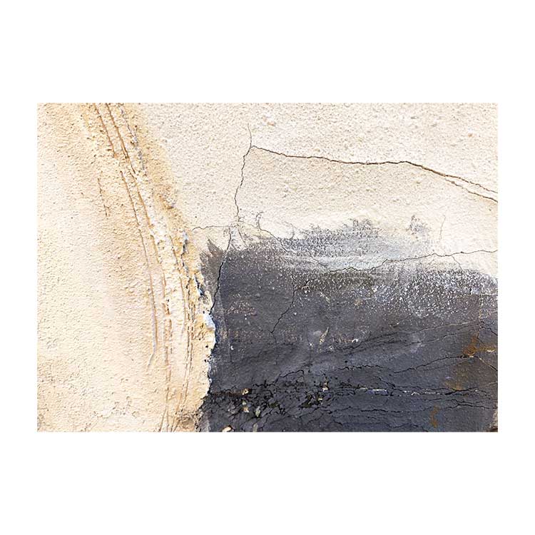 Agave Painting Sand Abstract