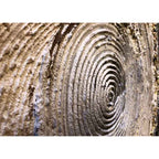 Agave Quadro Wood Circles 1