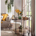 The Black Goose Cart 1J168