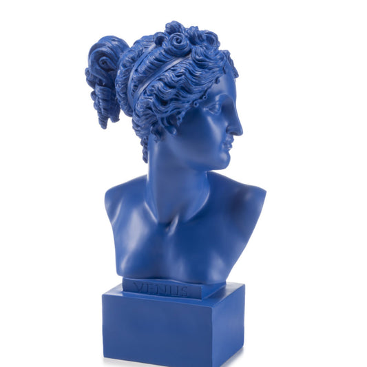 Palais Royal I Bellimbusti Busto Venere Blu 35 cm